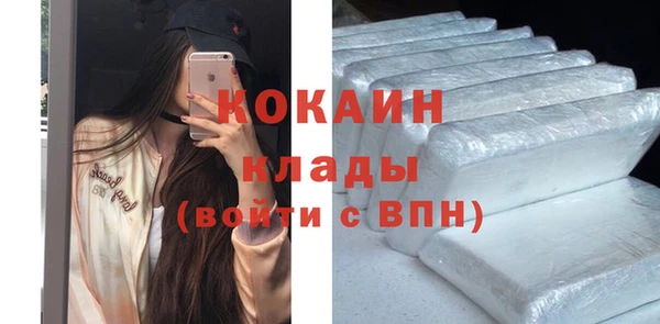 первитин Няндома