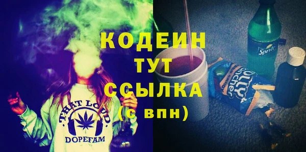метадон Галич